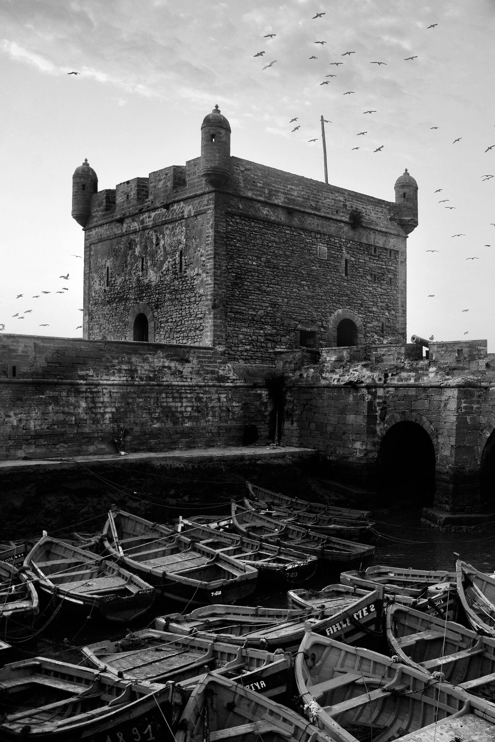 Day Trip to Essaouira – Mogador