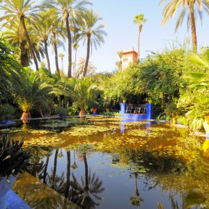 Majorelle Gerdens