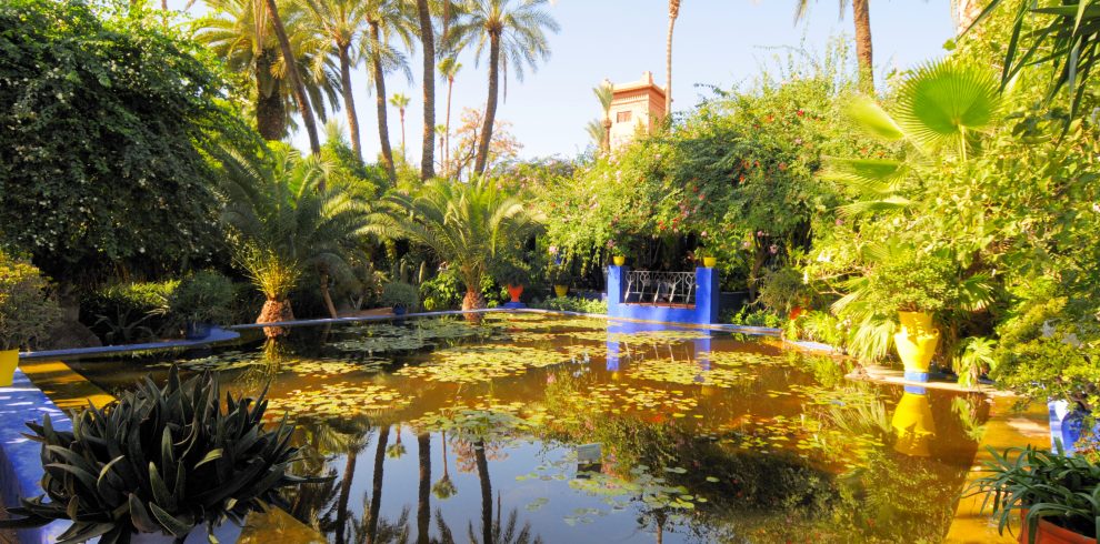 Majorelle Gerdens