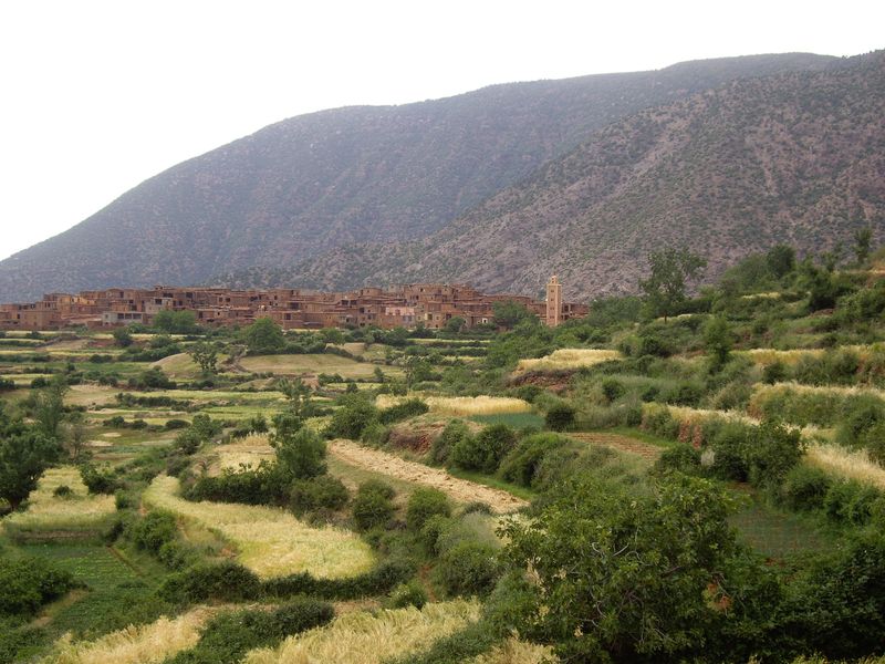 Day Trip with Guided Trek in Zat Valley
