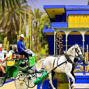 Horse Carriage Ride in Marrakech