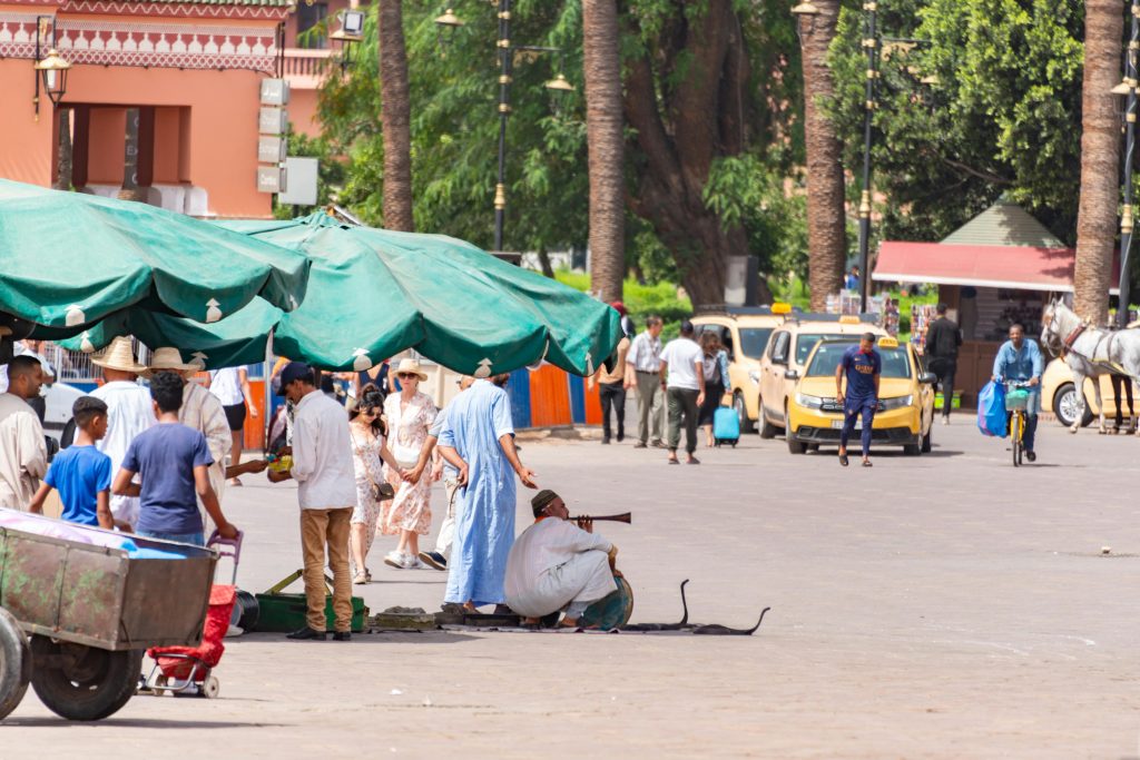 Marrakech Highlights Half-Day City Tour