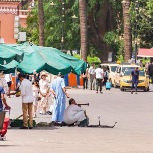 Marrakech Highlights Half-Day City Tour