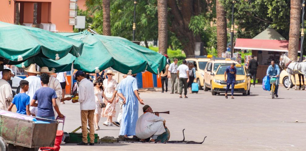 Marrakech Highlights Half-Day City Tour